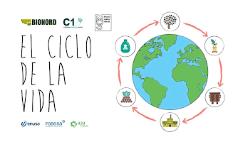 Capítulos animados y educativos "El ciclo de la vida"