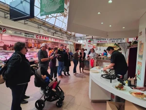 Comunicación ambiental proyectos de artes plasticas escénicas