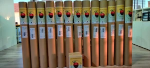 Campañas creativas y de divulgación de Comunicación ambiental