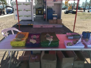 Proyectos de Ferias y exposiciones de comunicación ambiental