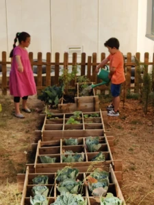 Campaña Compots-Compost