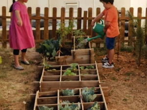 Campaña Compots-Compost